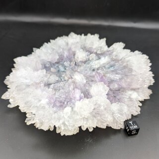 Amethyst Floweramethyst