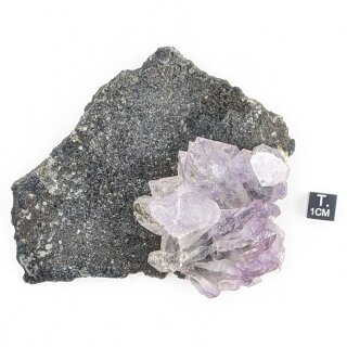 Amethyst Kristall auf Matrix