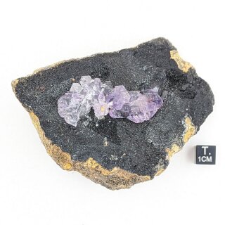 Amethyst Kristall auf Matrix